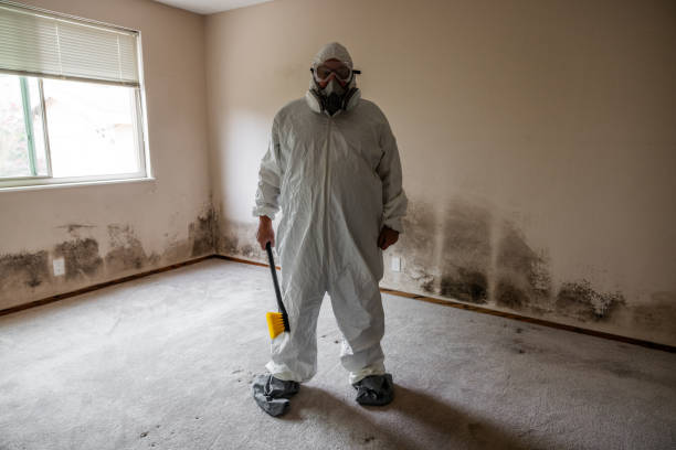 Best Certified Mold Removal  in Sealy, TX